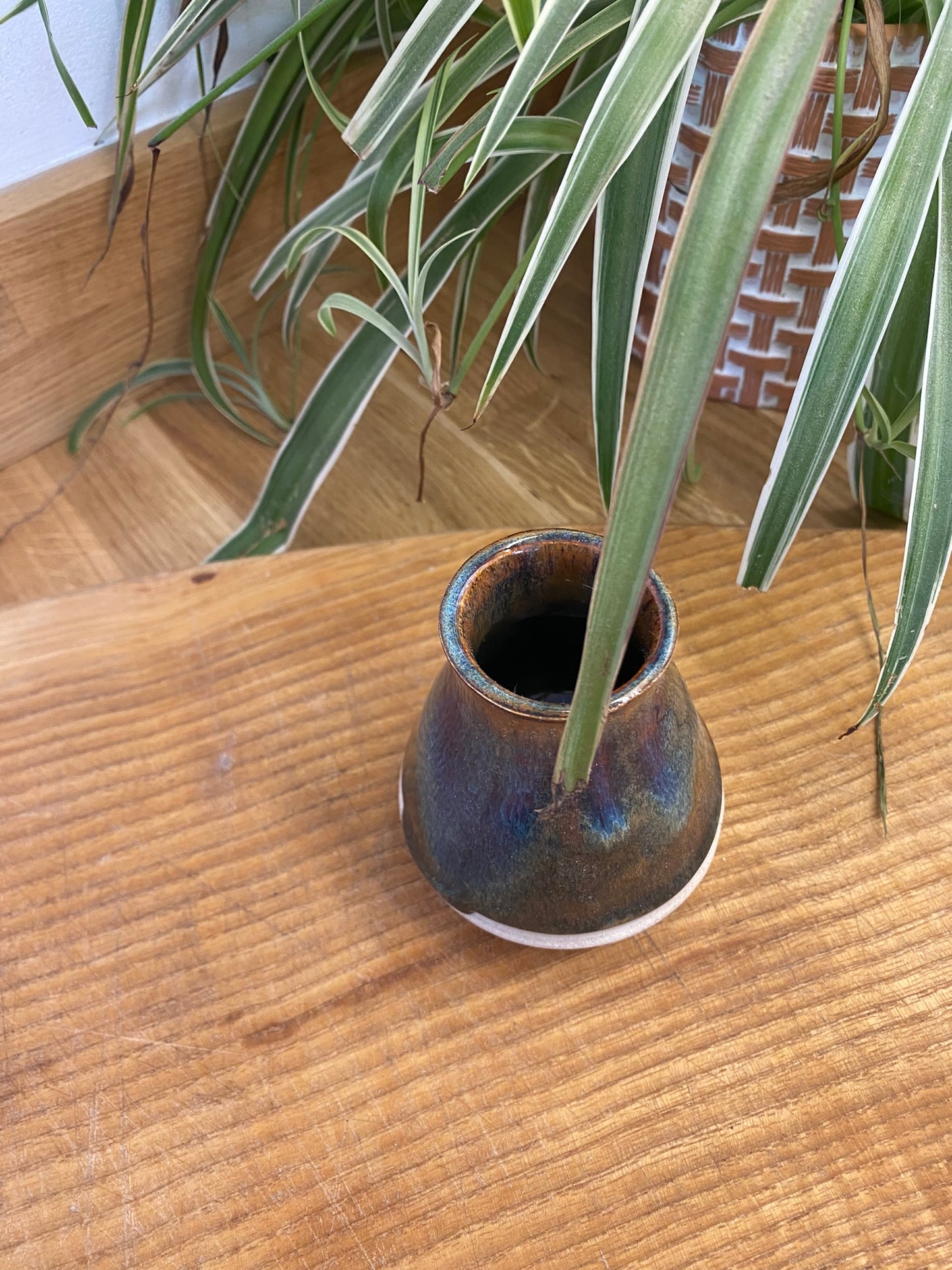 Conical Specimen Vase