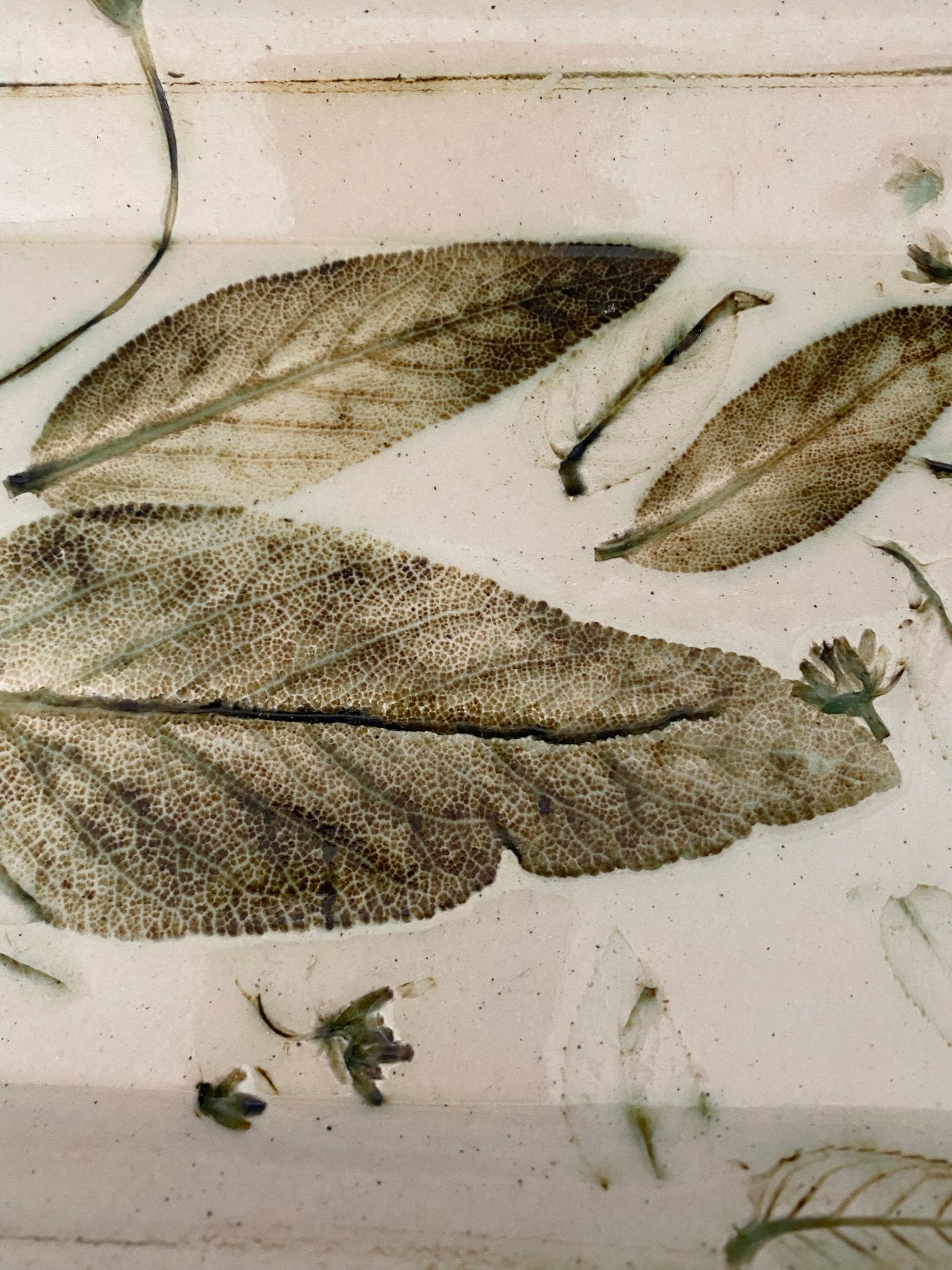 Sage Leaf Tray